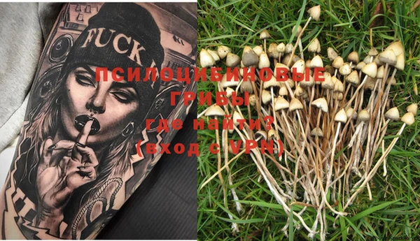 MESCALINE Горняк