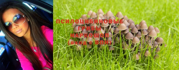MESCALINE Горняк