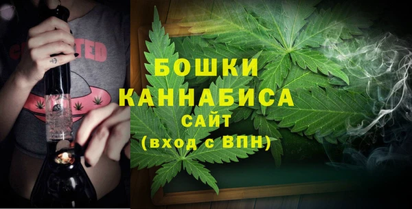 дмт Горно-Алтайск