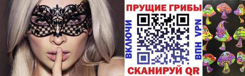 Галлюциногенные грибы ЛСД  дарнет шоп  Новошахтинск 