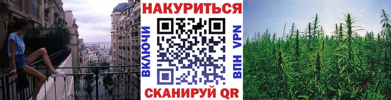 MEGA рабочий сайт  Новошахтинск  Каннабис индика  цена наркотик 